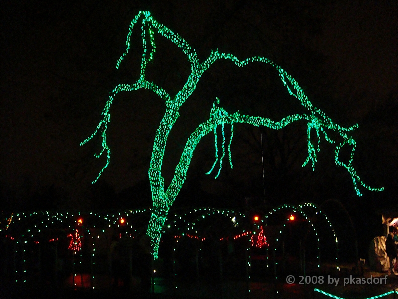 096 Toledo Zoo Light Show [2008 Dec 27].JPG - Scenes from the Toledo Zoo Light Show.